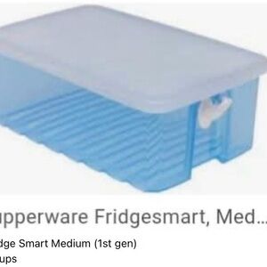 Tupperware Fridgesmart medium container